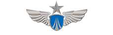 空軍飛行